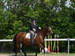 img-99871-627